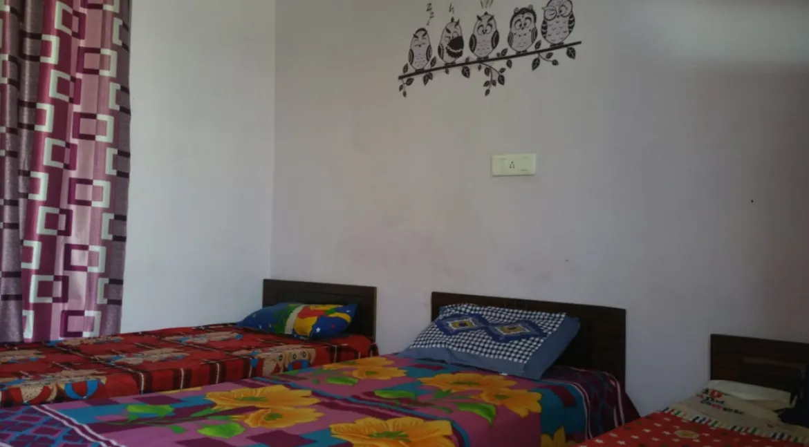 PG Near Olive Green Manimajra Chandigarh
