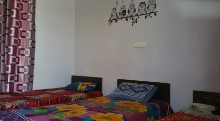 PG Near Olive Green Manimajra Chandigarh