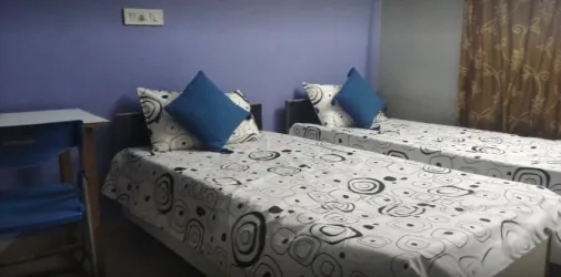 Vikrant Palace pG Raipur sec 126 noida